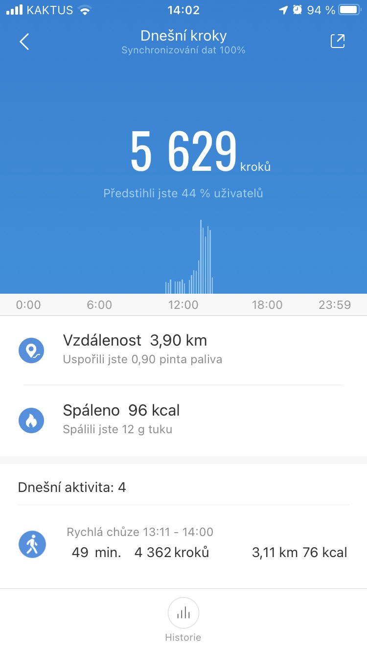 Vitnerová Káťa 8. A